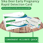 Sika Deer Ранняя беременность Указания по карточке быстрого обнаружения поставщик