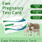 Инструкции по карточке теста на раннюю беременность овец поставщик