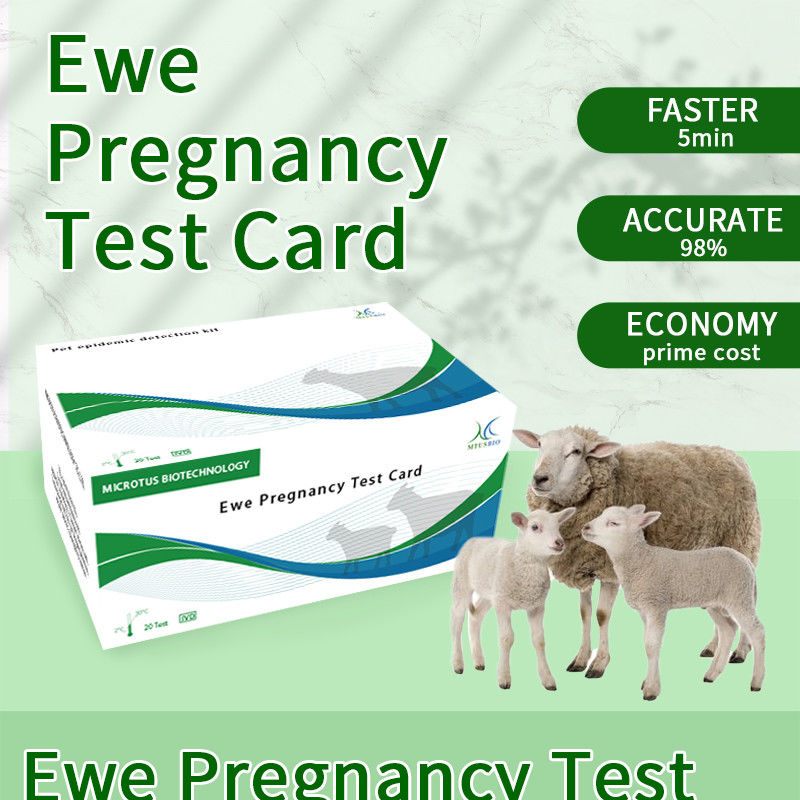 Инструкции по карточке теста на раннюю беременность овец поставщик