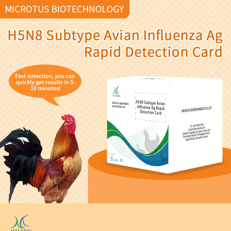 Инструкции по карточке быстрого обнаружения антигена птичьего гриппа (H5N8) поставщик